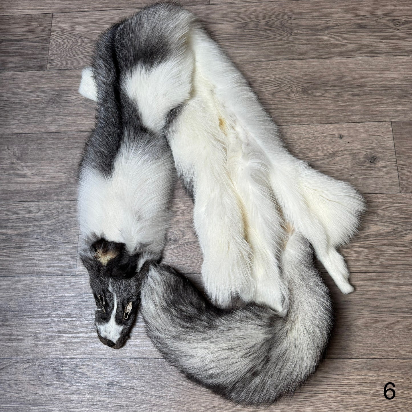 Marble Frost fox pelt (6) (extremely large pelt)