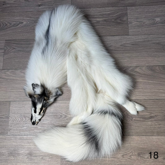 Cross Marble fox pelt (18)