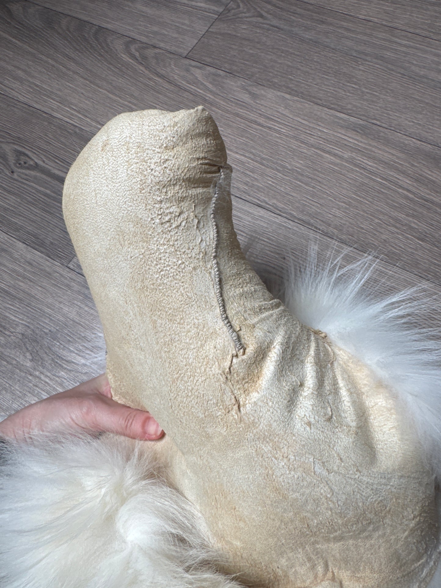 Sun Glow fox pelt (19)