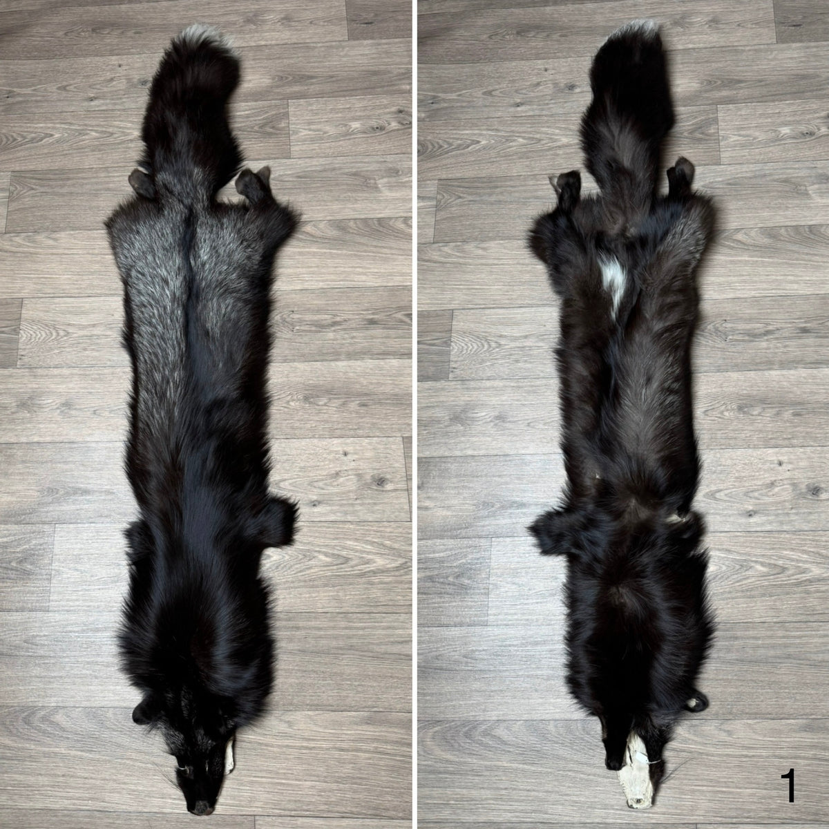 Silver fox pelt (1)