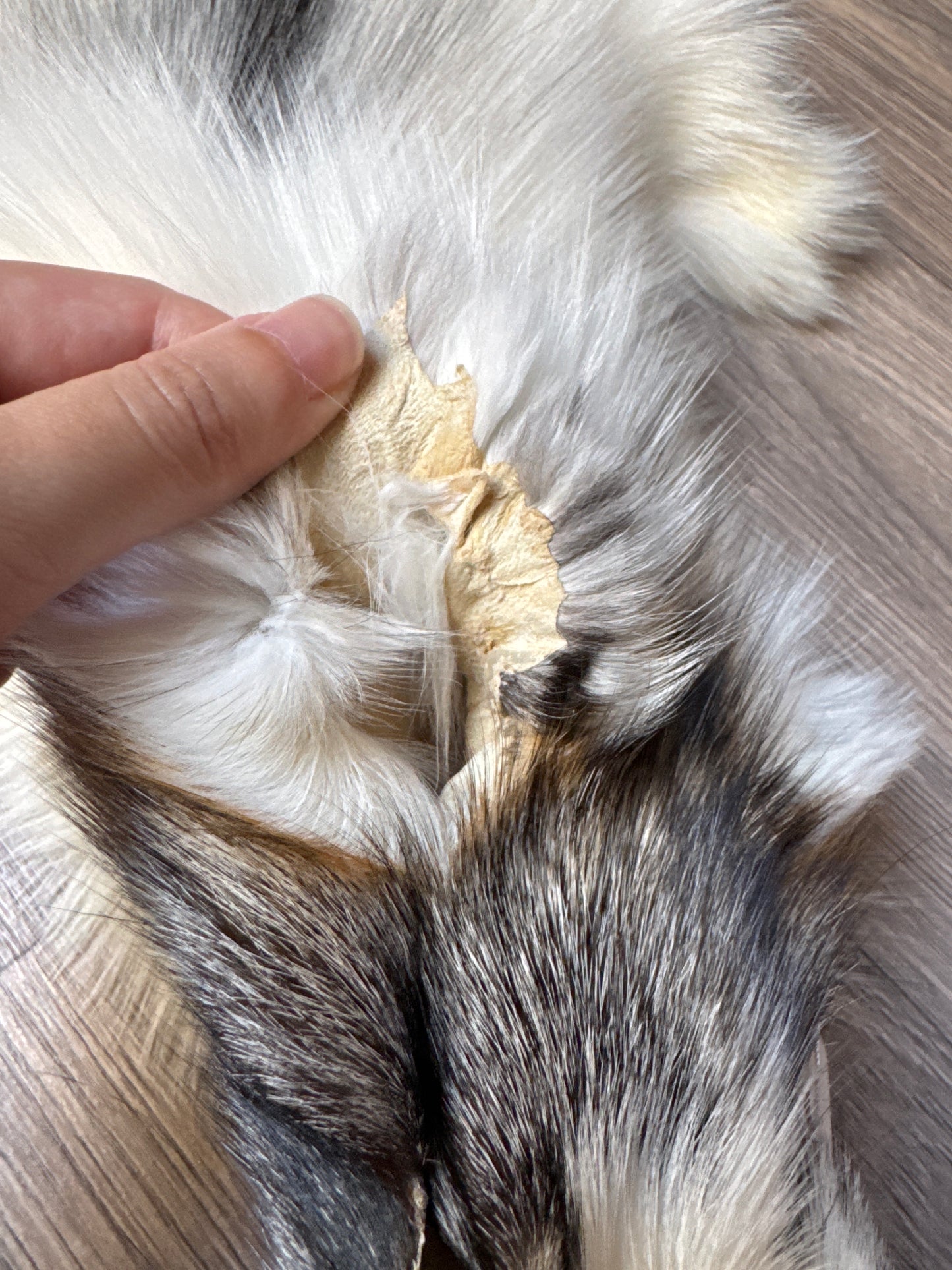 Cross Marble fox pelt (10)