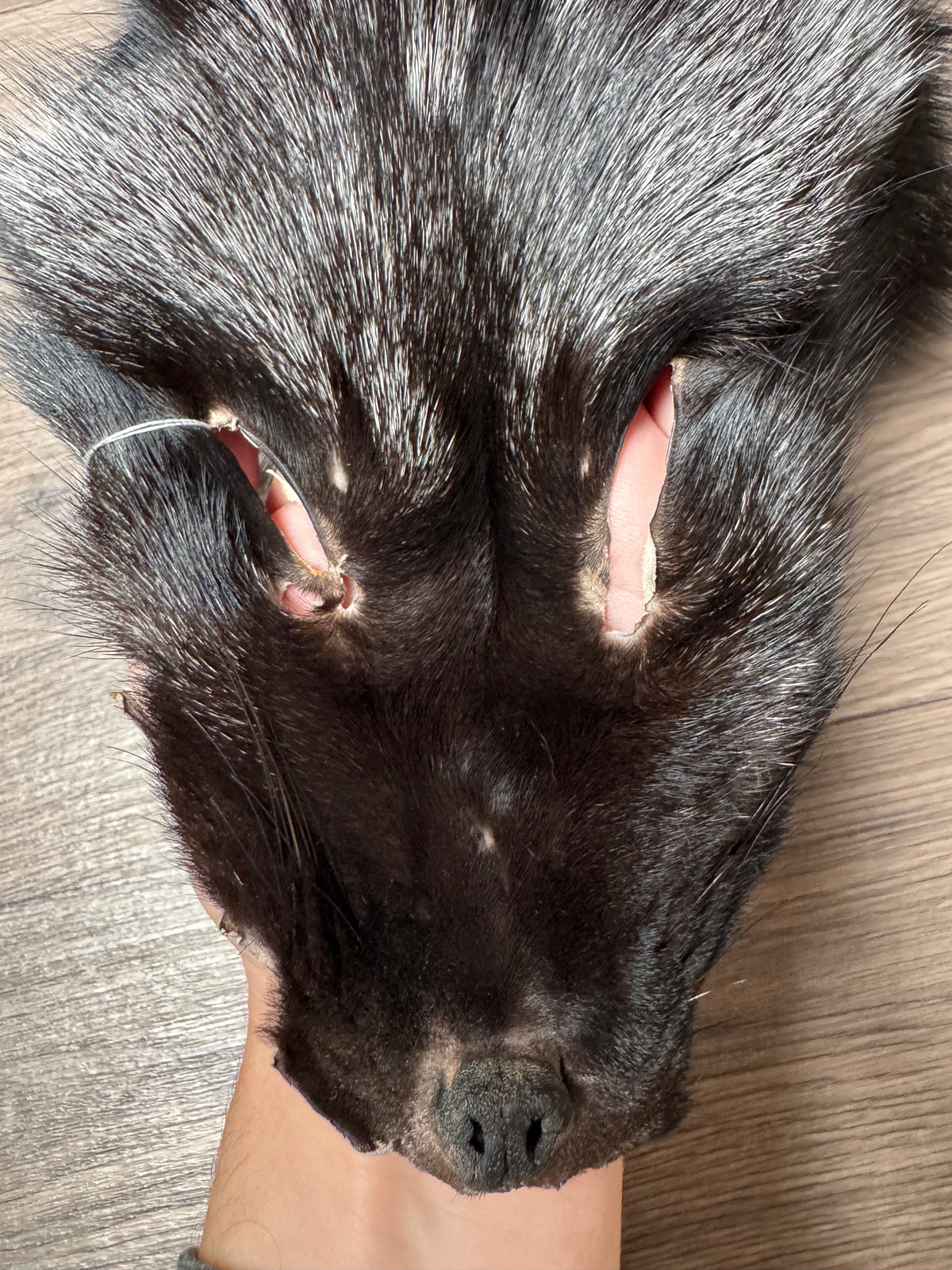 Silver fox pelt (23)