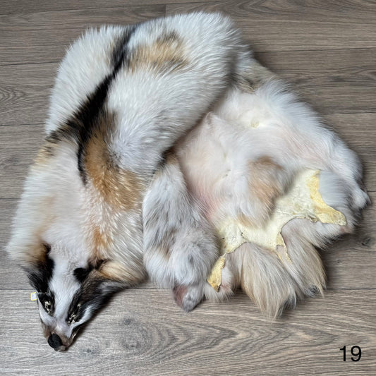 Marble tanuki pelt (19)