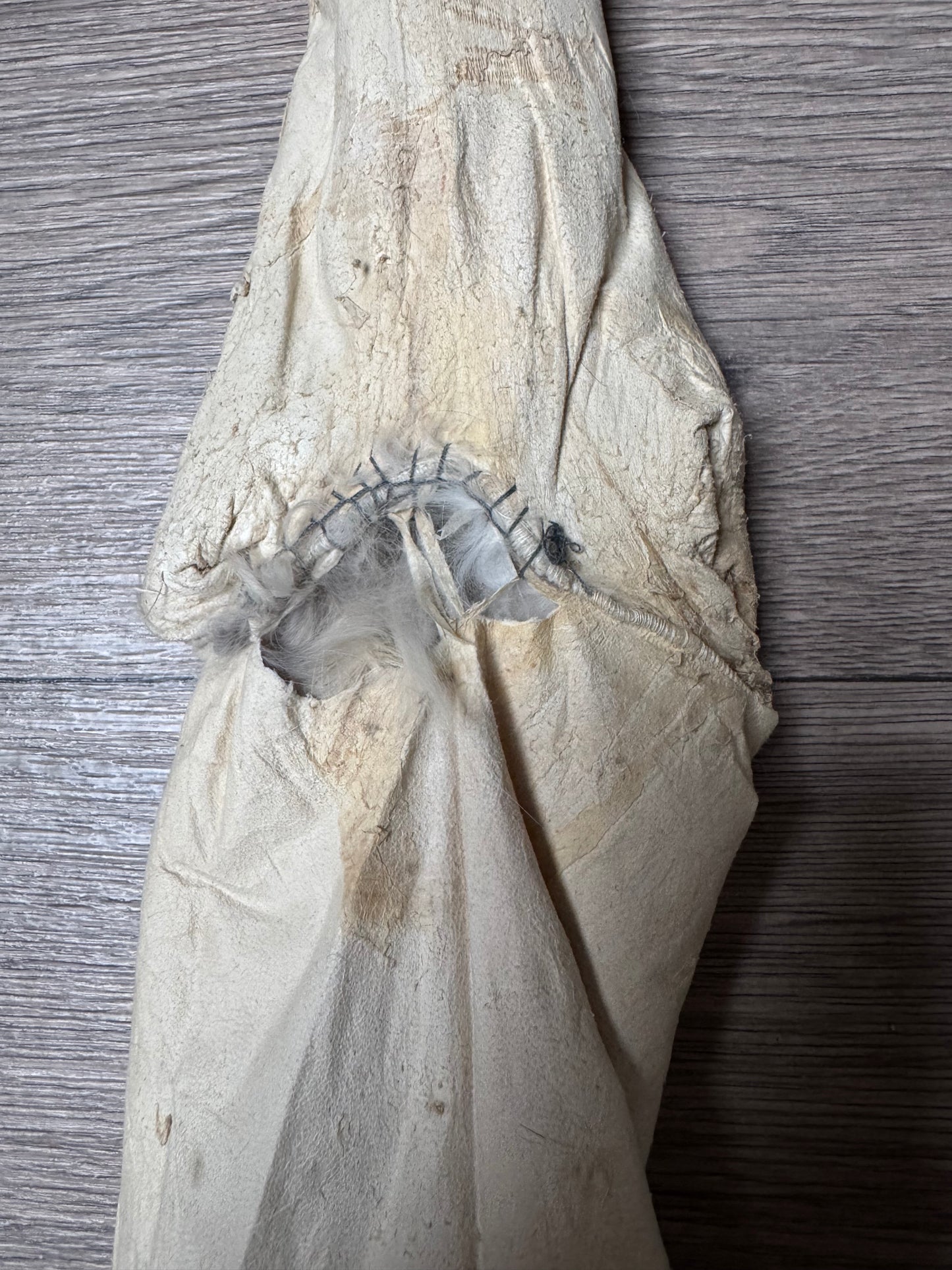 Swift fox pelt (2)