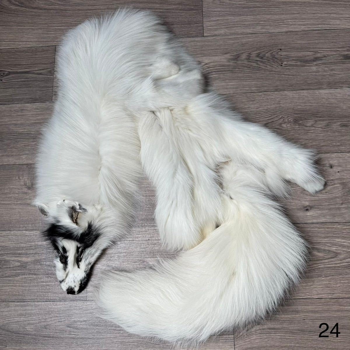 Arctic Marble fox pelt (24)