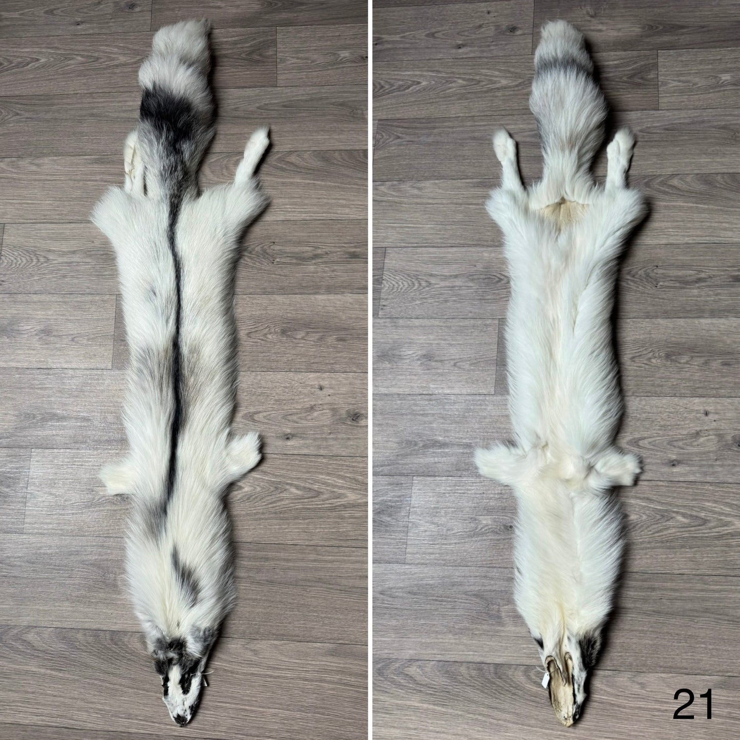 Cross Marble fox pelt (21)