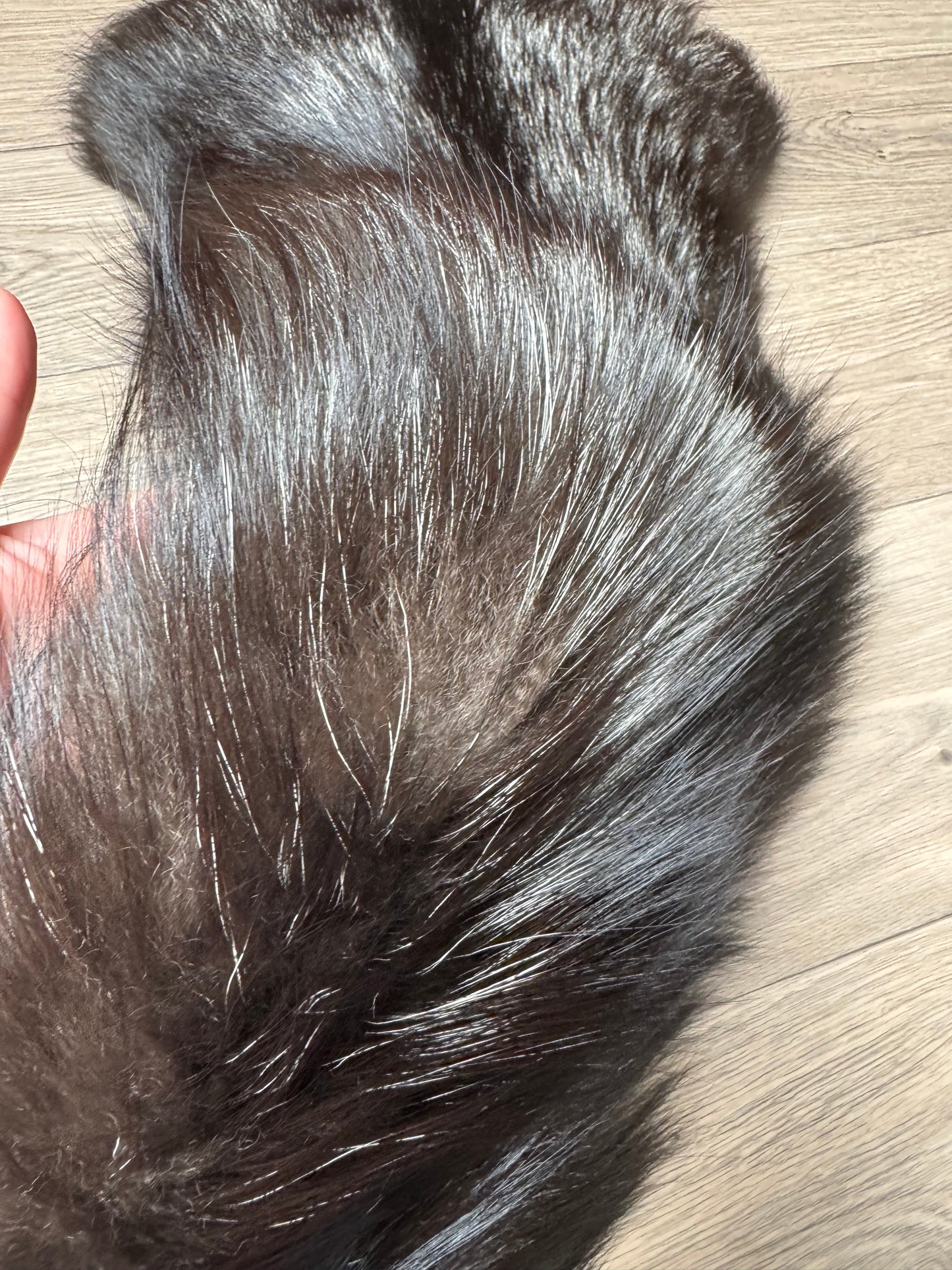 Silver fox pelt (18)