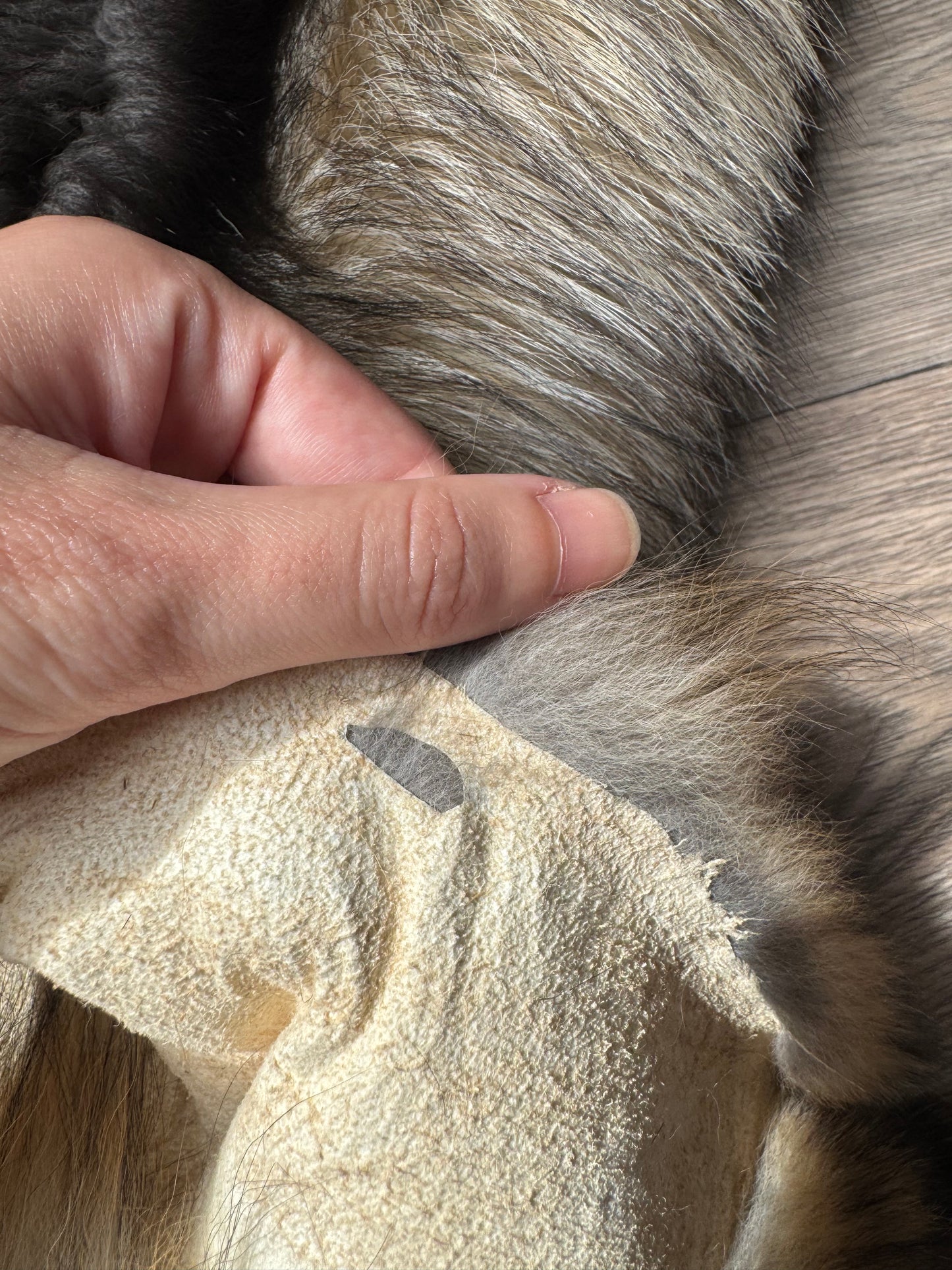 Smokey fox pelt (20)