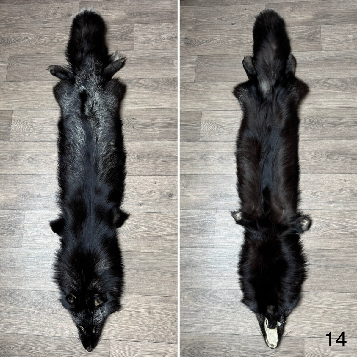 Silver fox pelt (14)