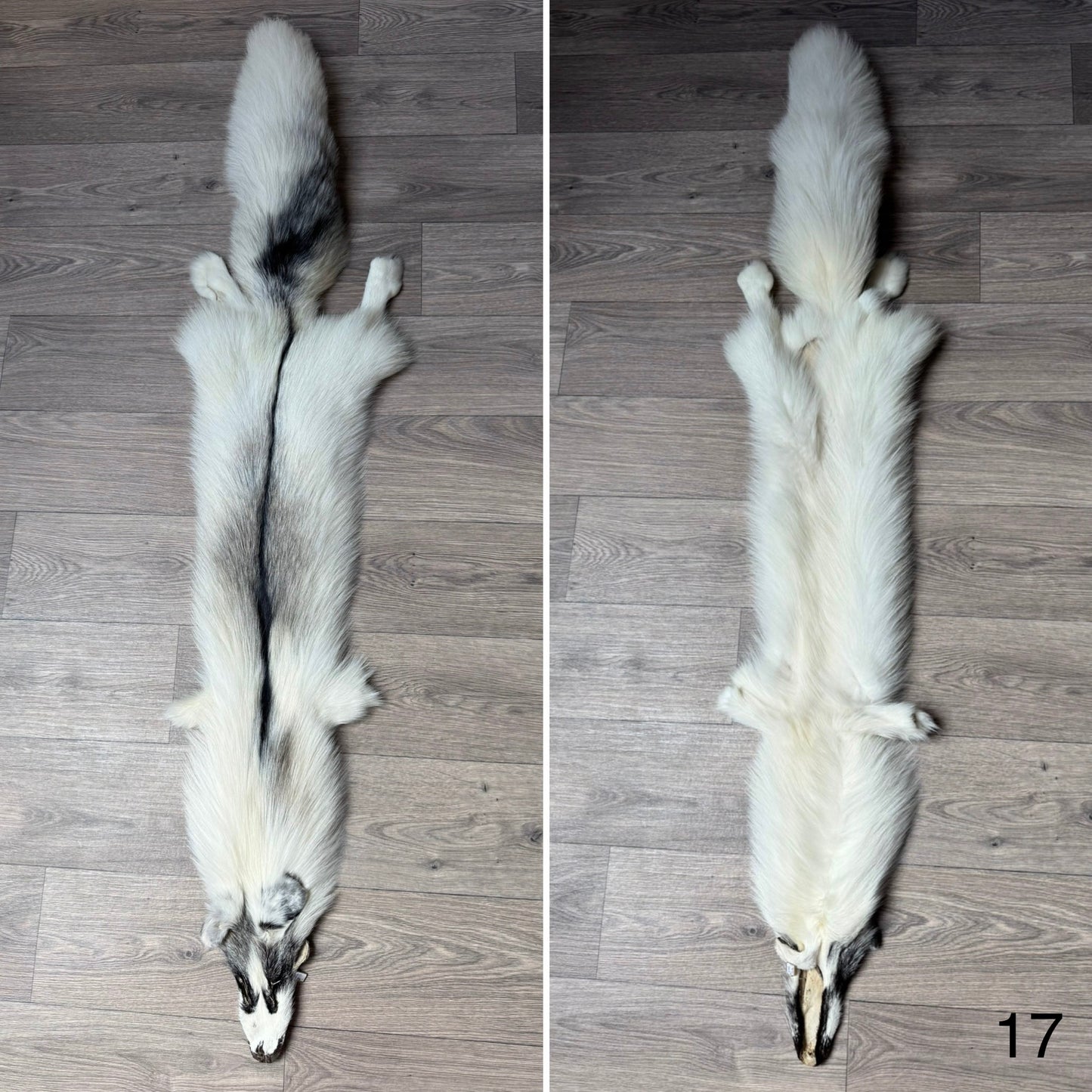 Cross Marble fox pelt (17)