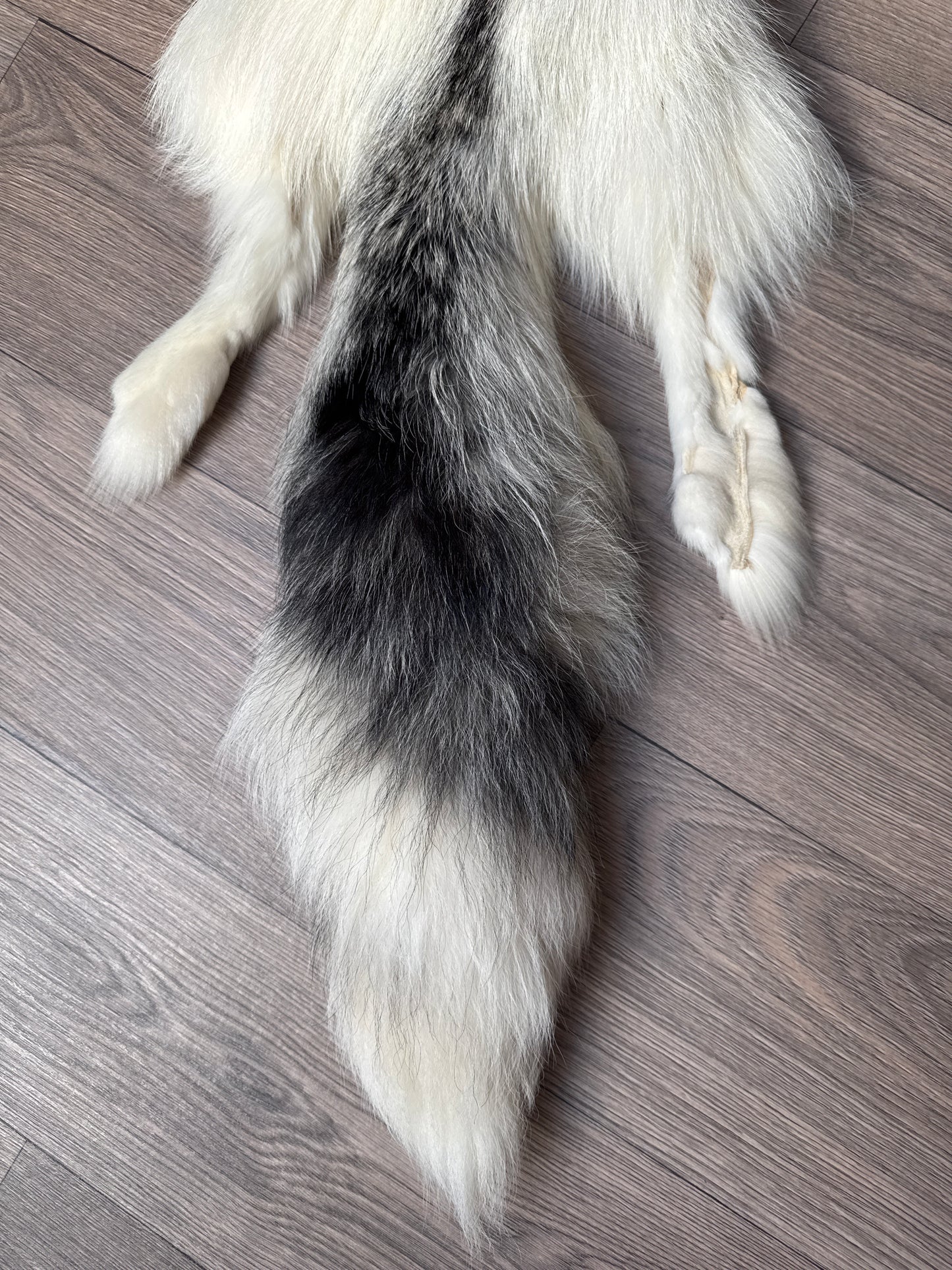 Cross Marble fox pelt (21)