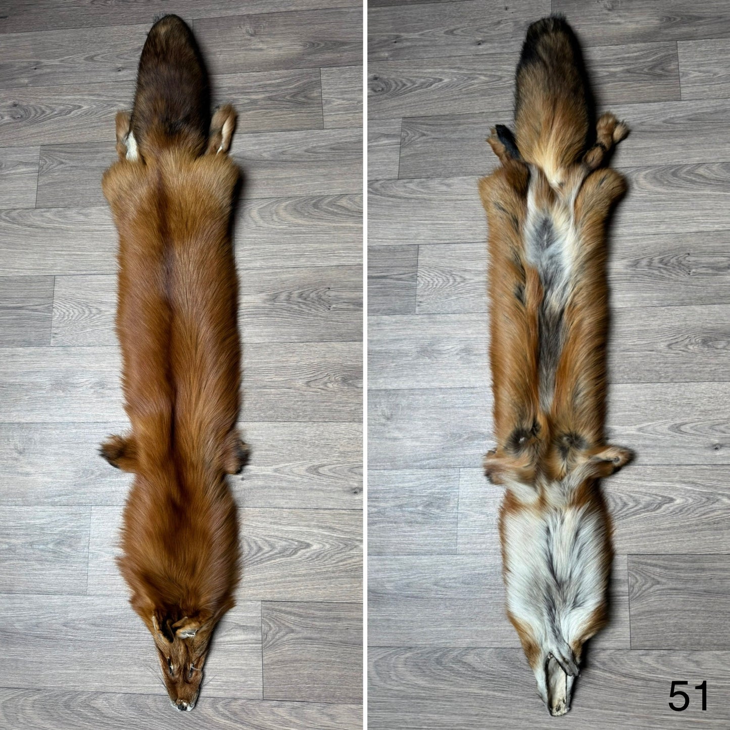 Gold fox pelt (51)