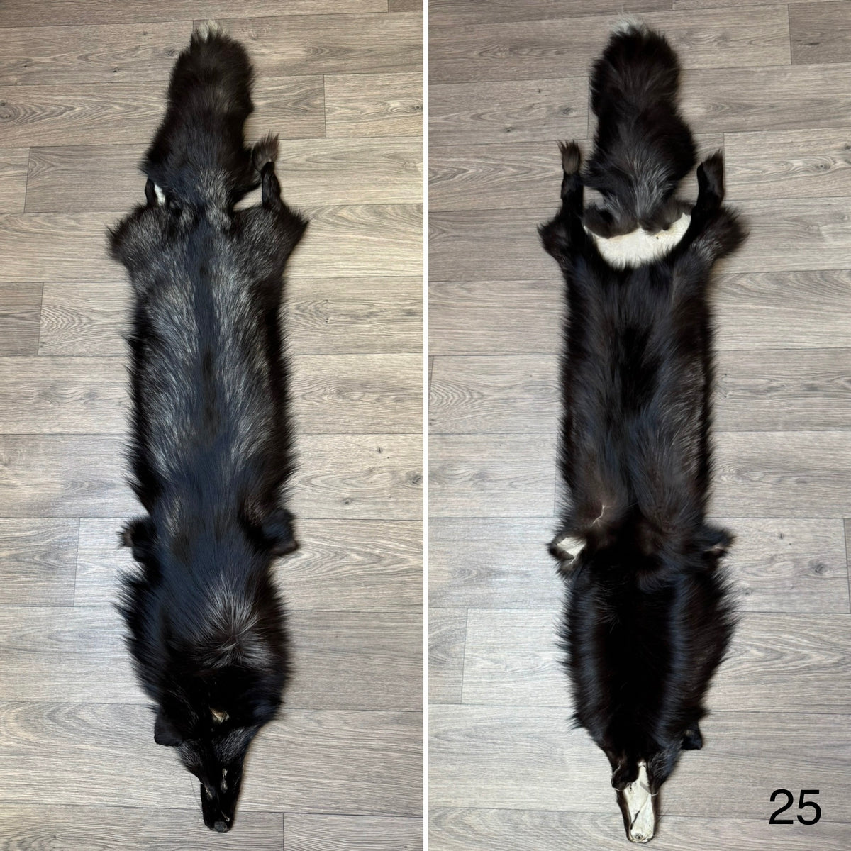 Silver fox pelt (25)