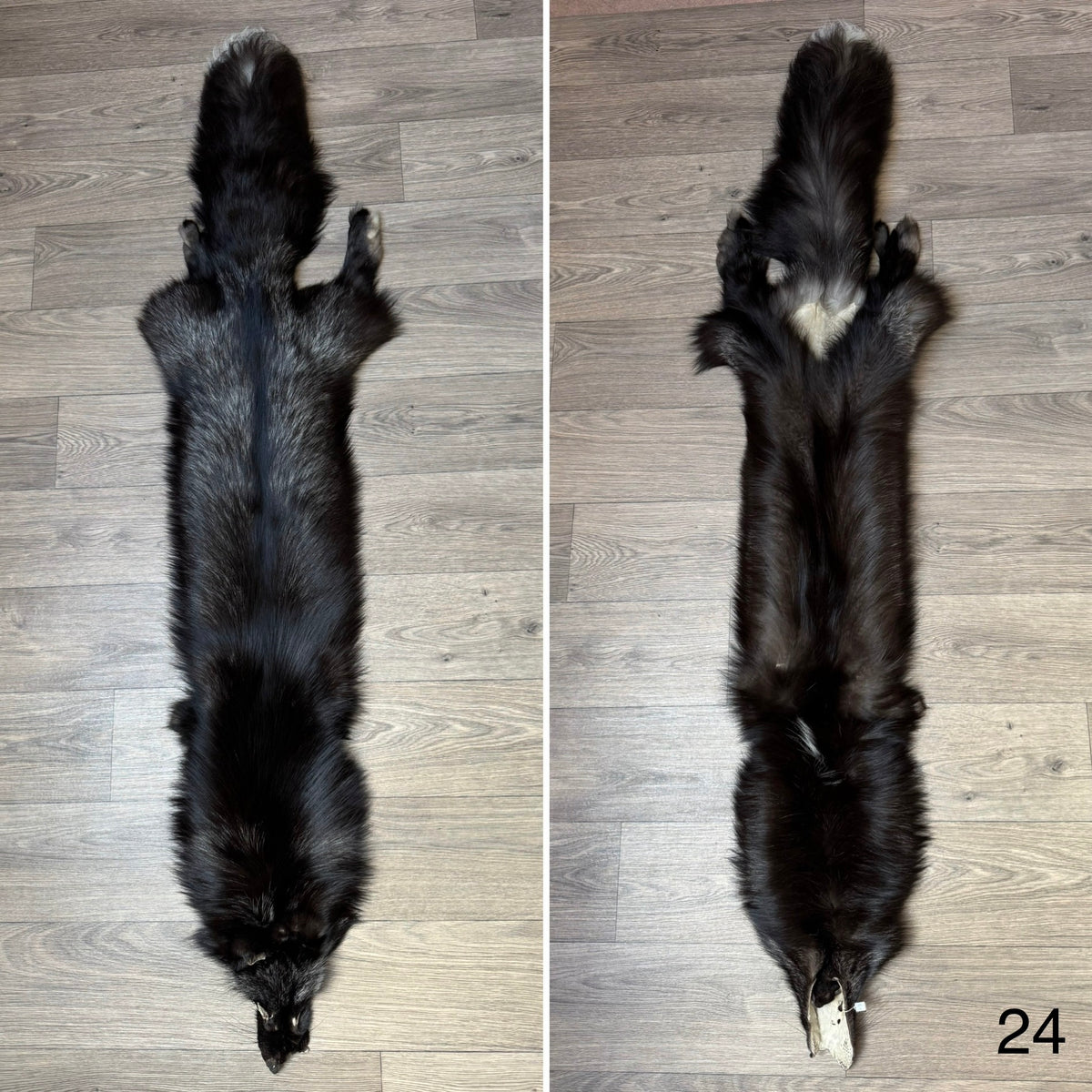 Silver fox pelt (24)