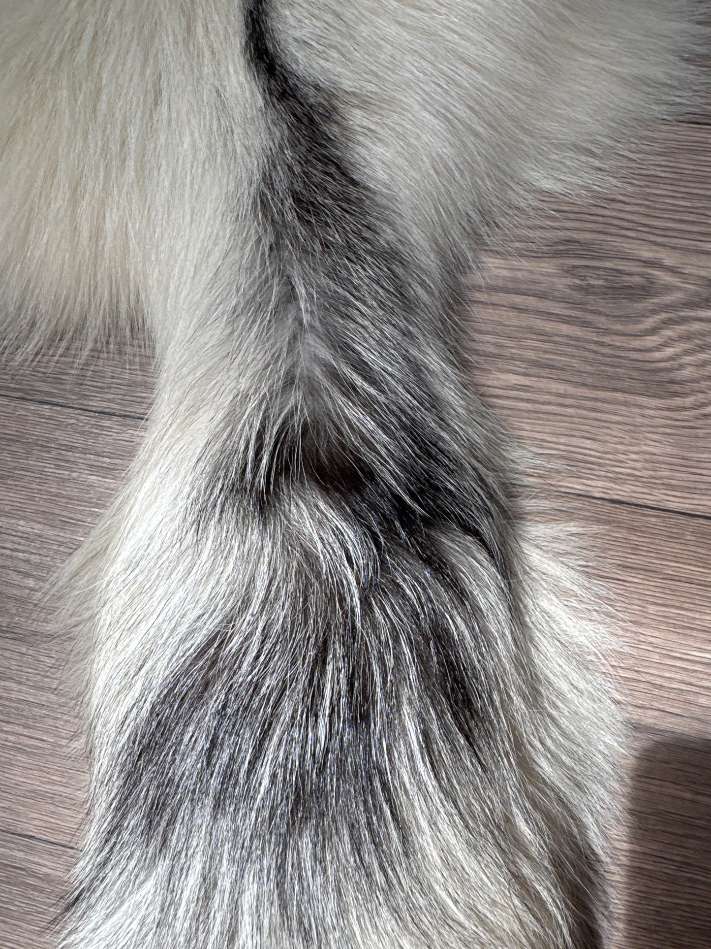 Cross Marble fox pelt (19)