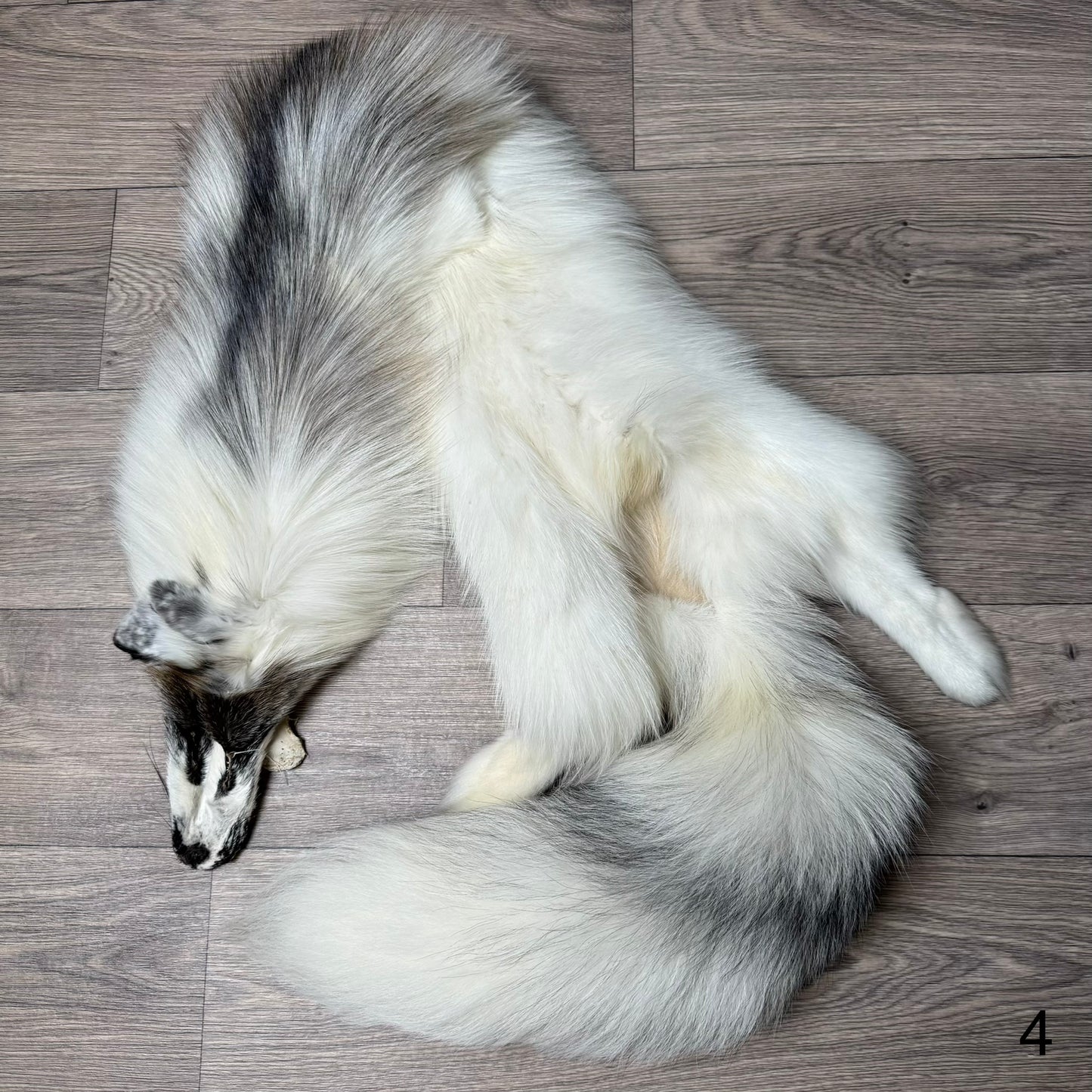Cross Marble fox pelt (4)