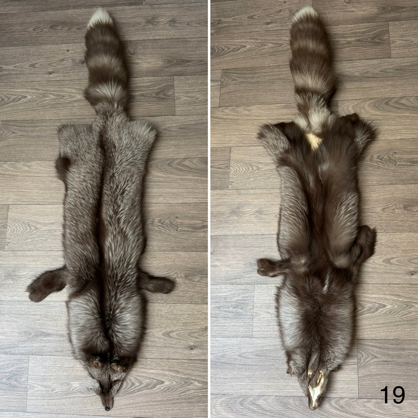 Polish Pastel fox pelt (19)