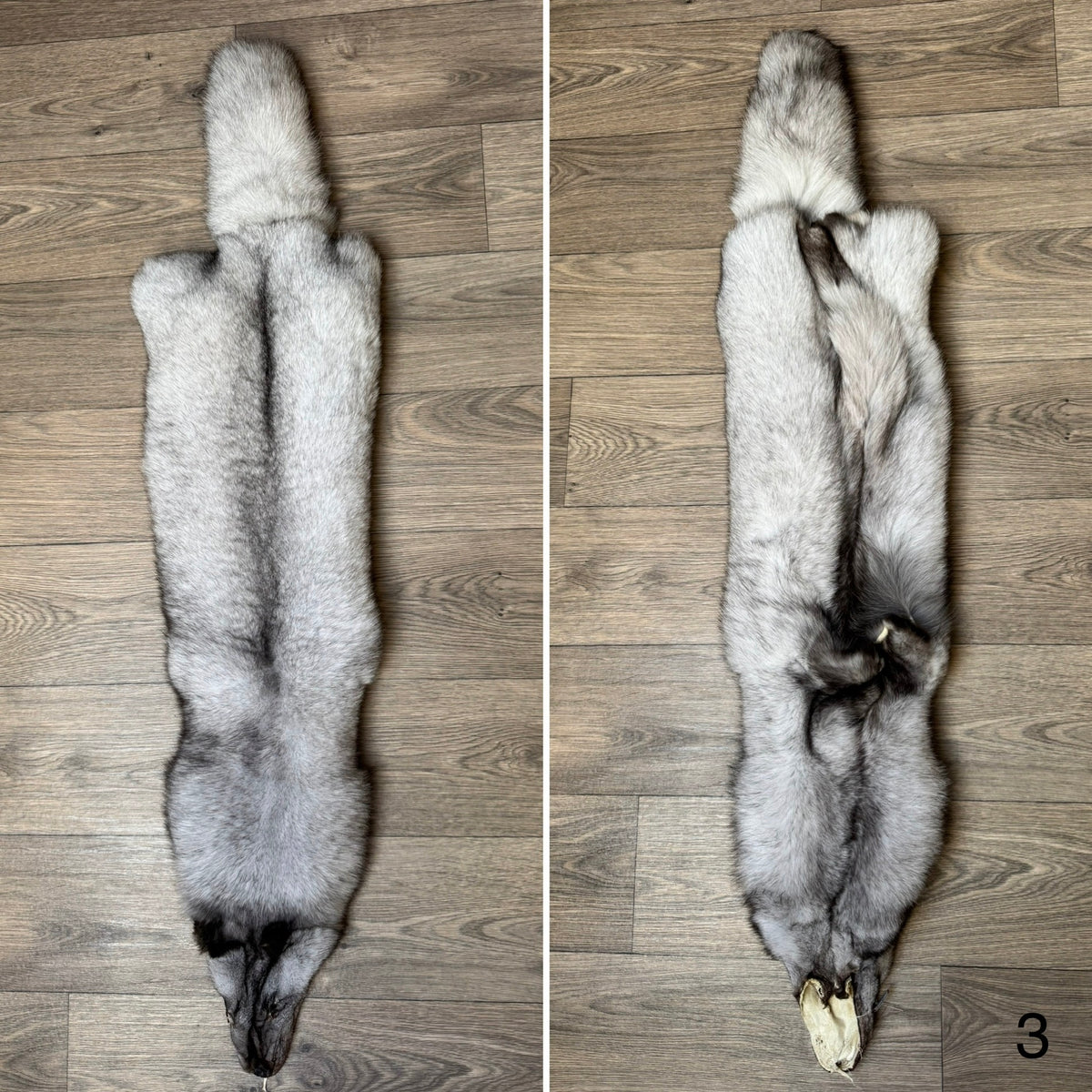 Blue fox pelt (3)