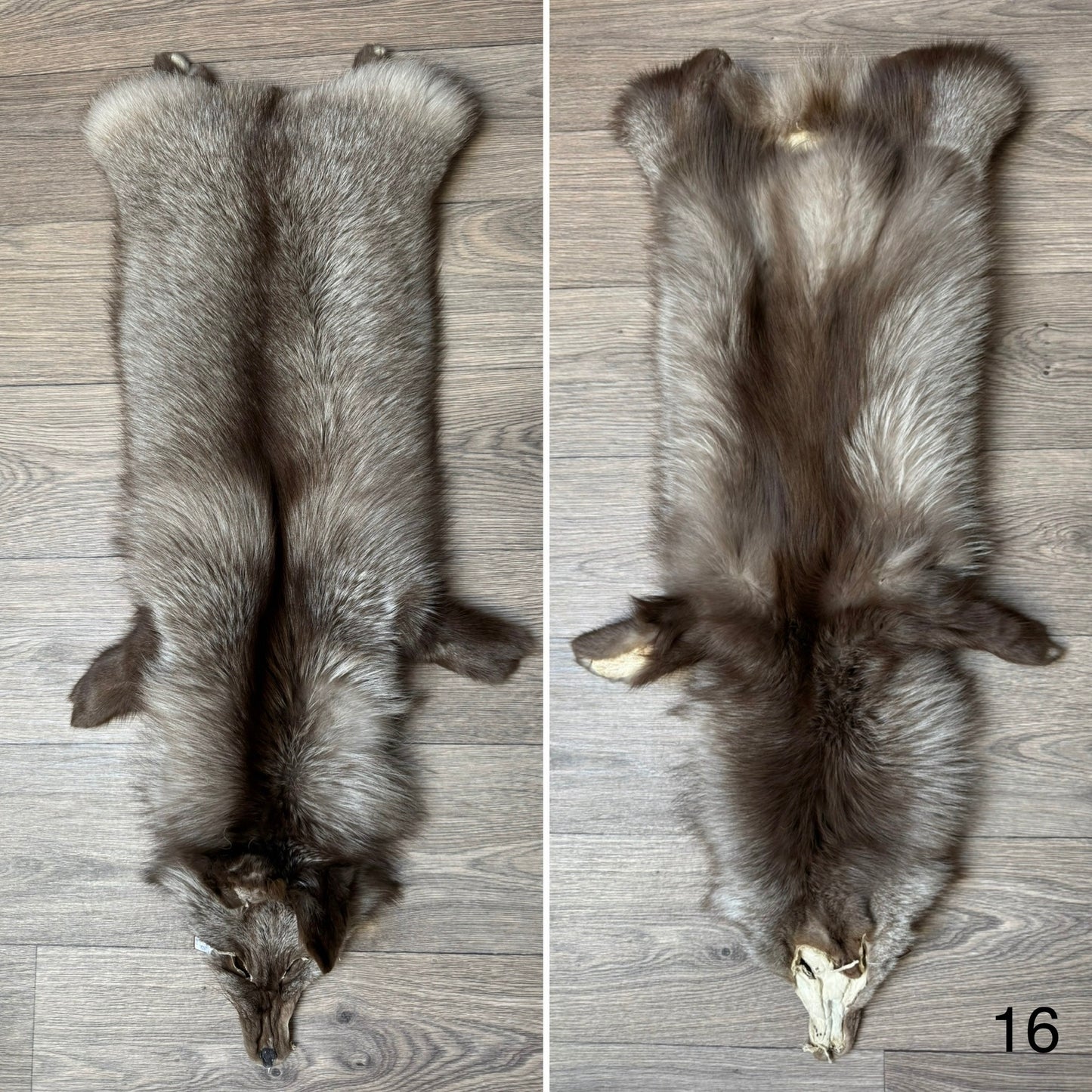 Polish Pastel fox pelt (16)