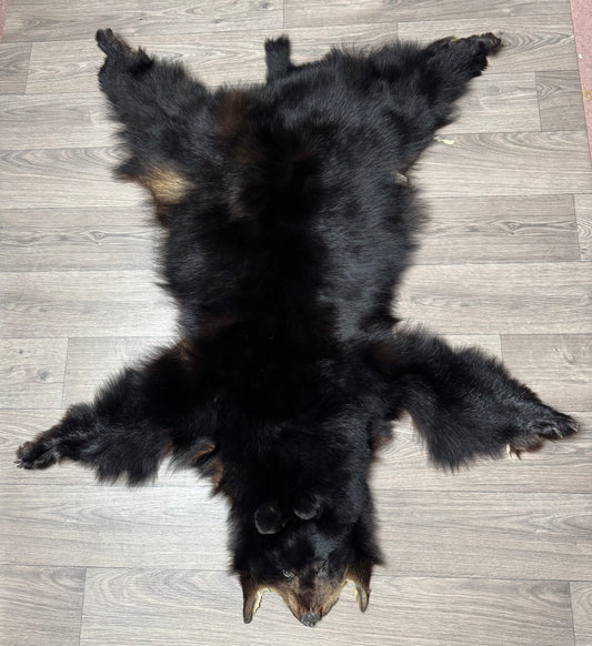 Black bear hide (2)