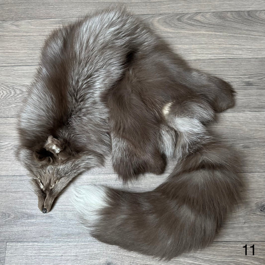 Polish Pastel fox pelt (11)