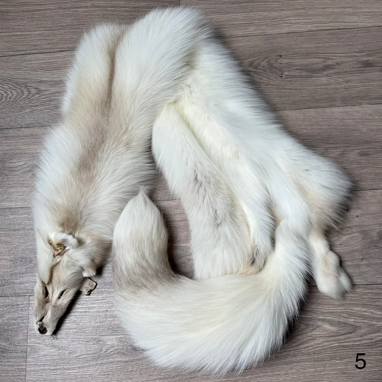 Fawn Light fox pelt (5)