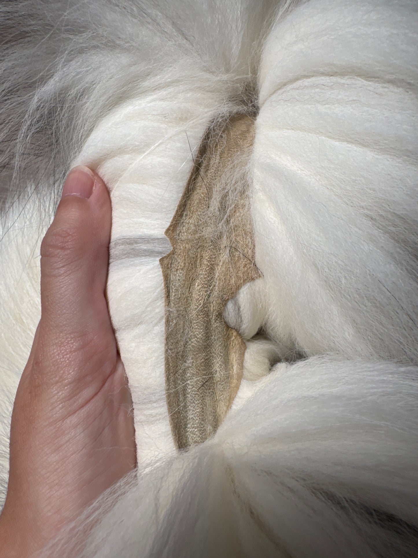 Cross Marble fox pelt (5)