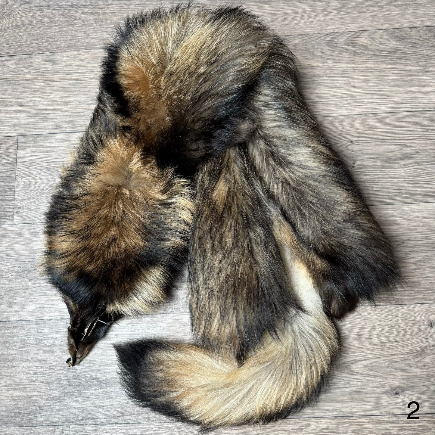 Tanuki pelt (2)