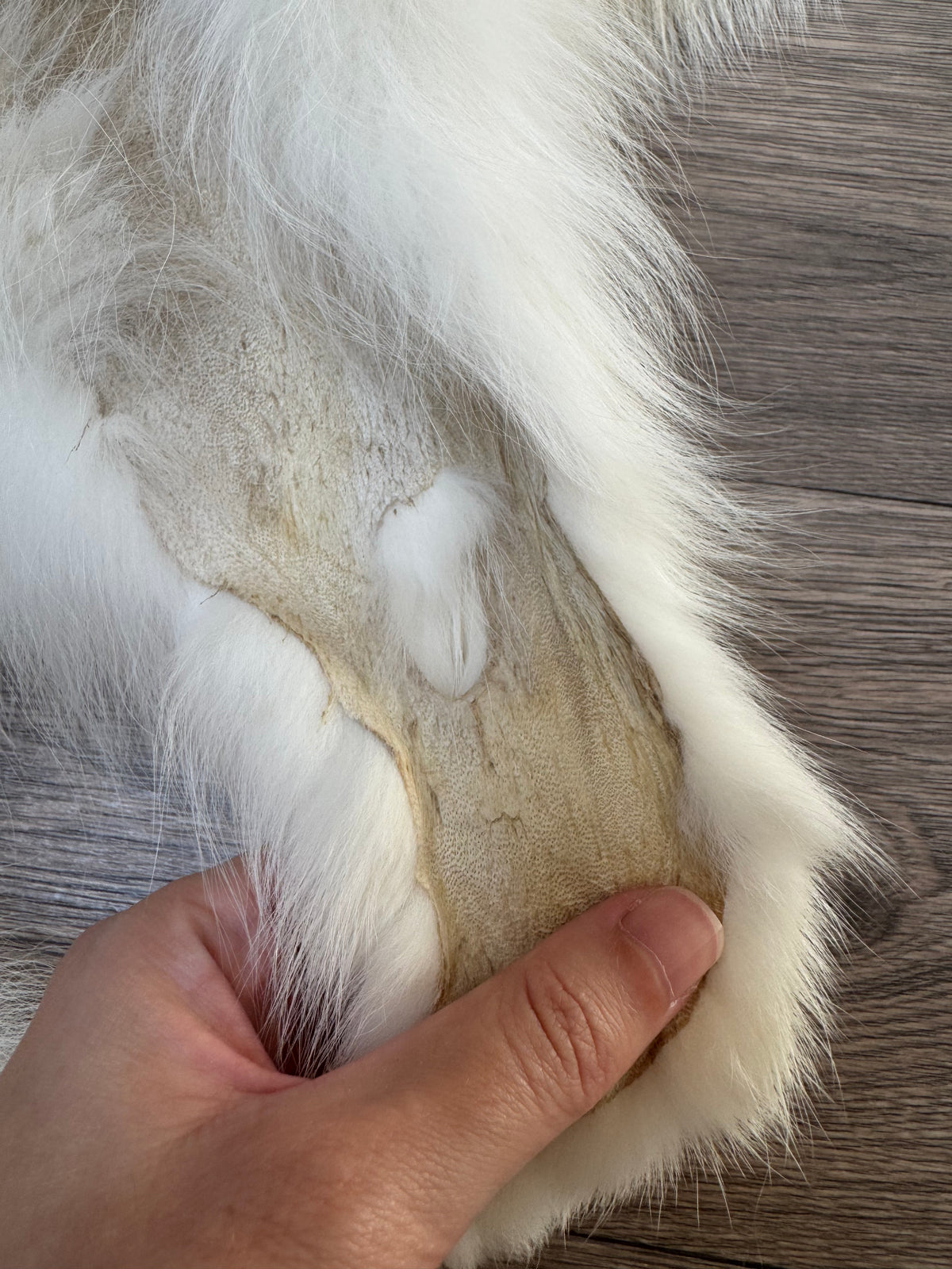Arctic Marble fox pelt (37)