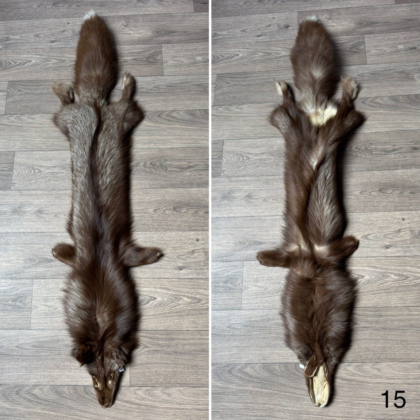 Burgundy fox pelt (15)