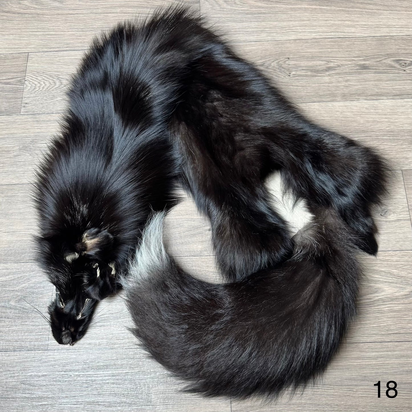 Silver fox pelt (18)