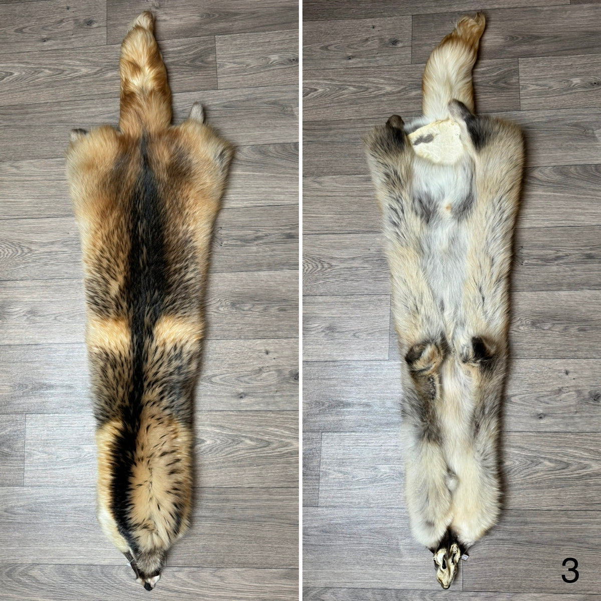Arctic tanuki pelt (3)
