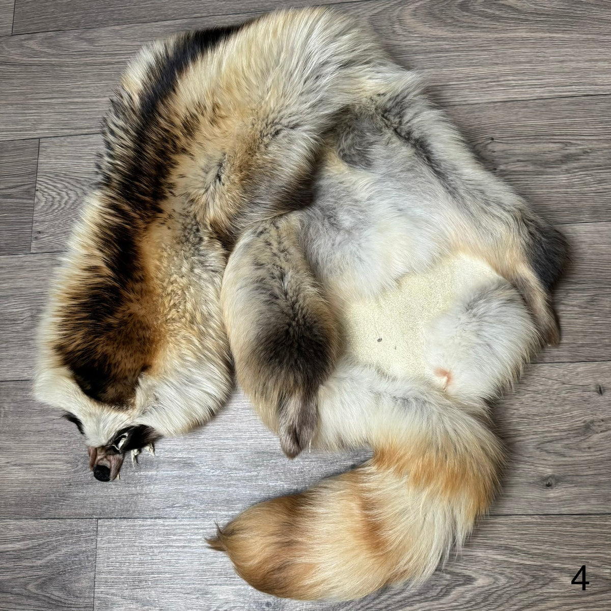 Arctic tanuki pelt (4)