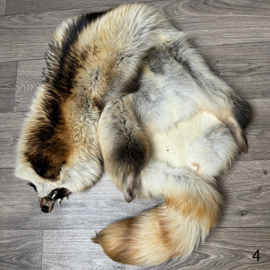 Arctic tanuki pelt (4)