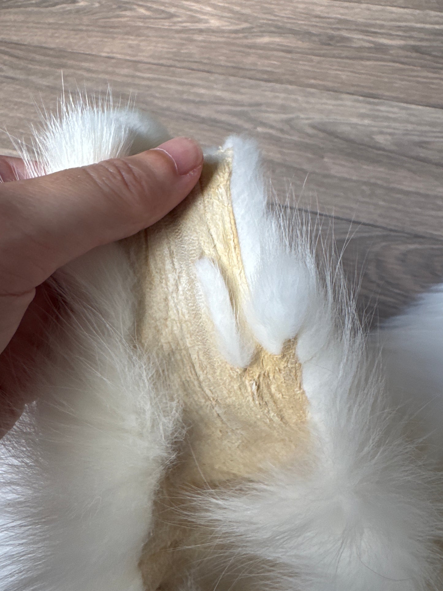 Sun Glow fox pelt (24)