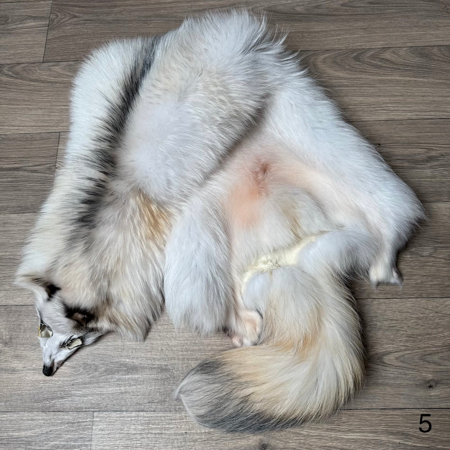Marble tanuki pelt (5)