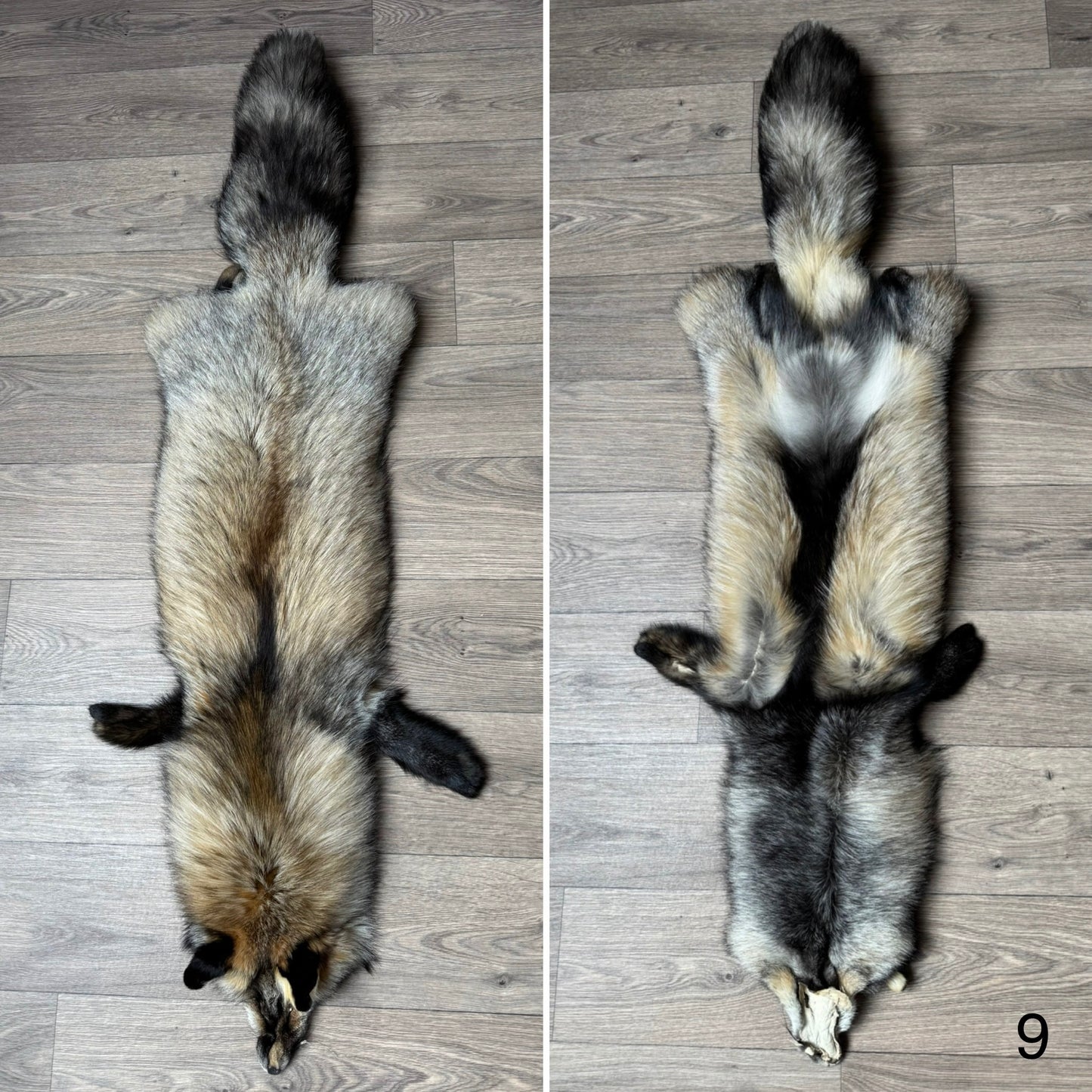 Smokey fox pelt (9)
