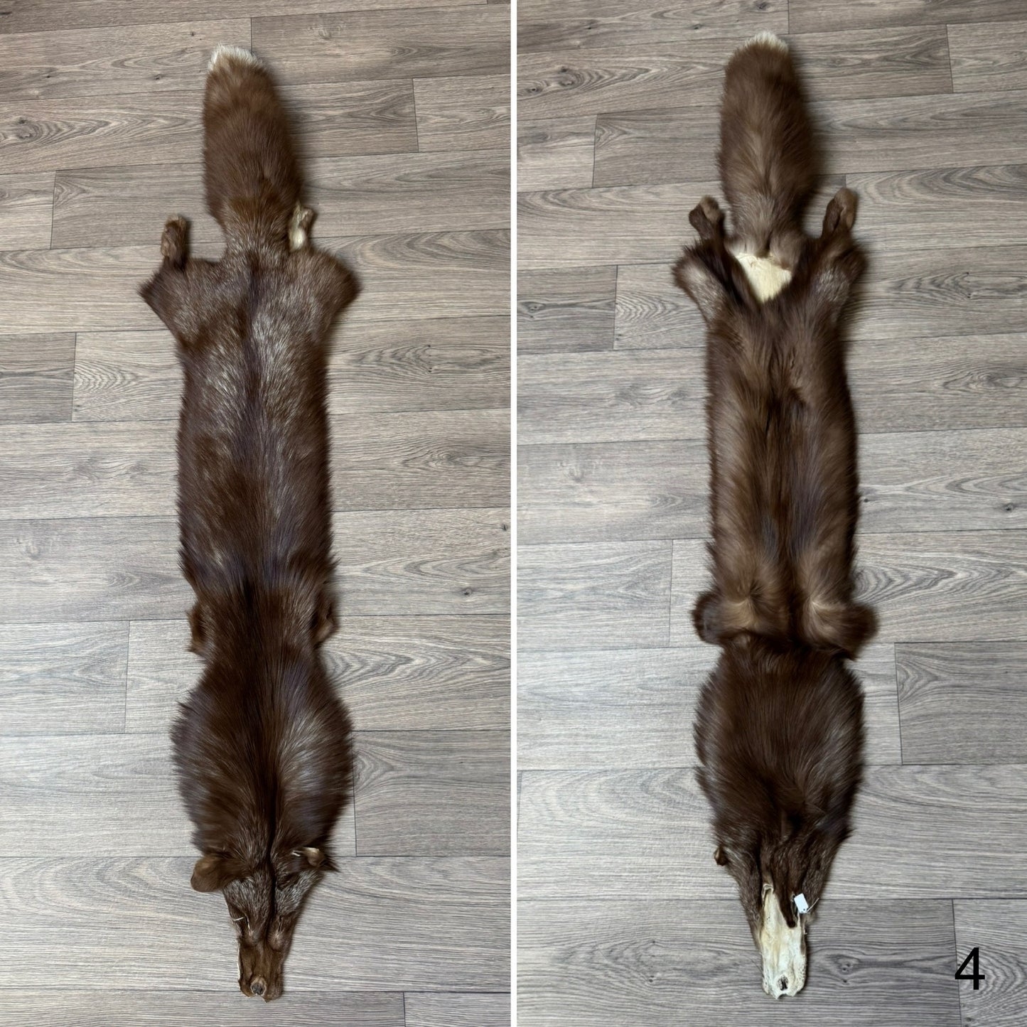 Burgundy fox pelt (4)