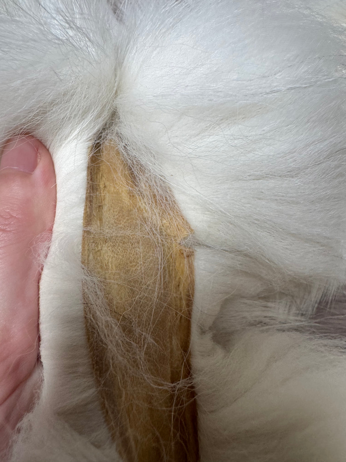 Arctic Marble fox pelt (23)