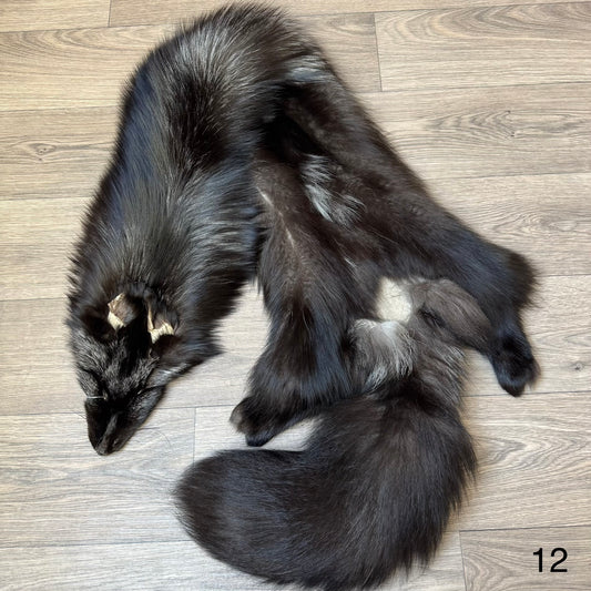 Silver fox pelt (12)