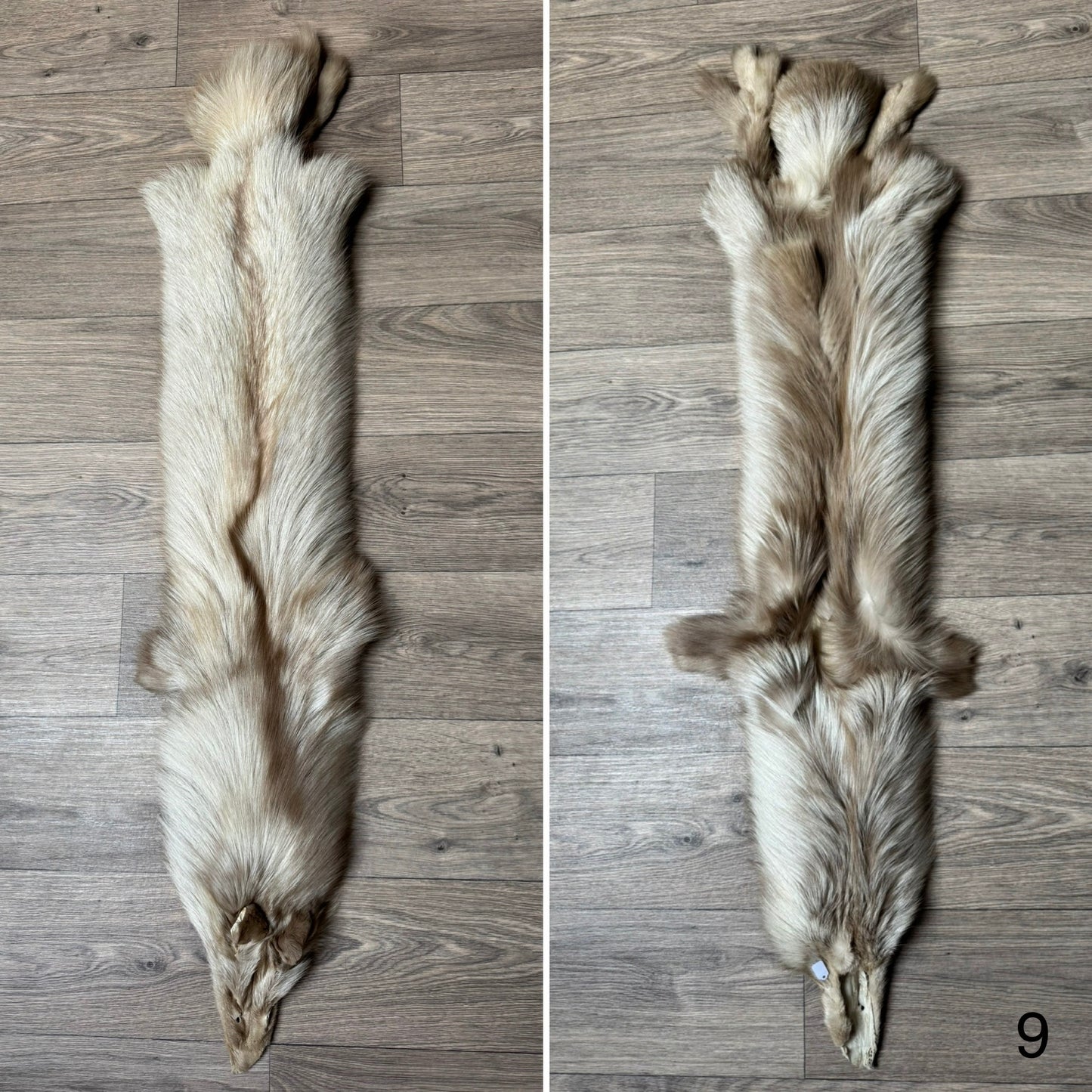 Amber fox pelt (9)