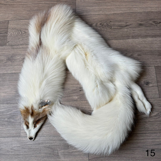 Sun Glow fox pelt (15)