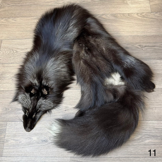 Silver fox pelt (11)