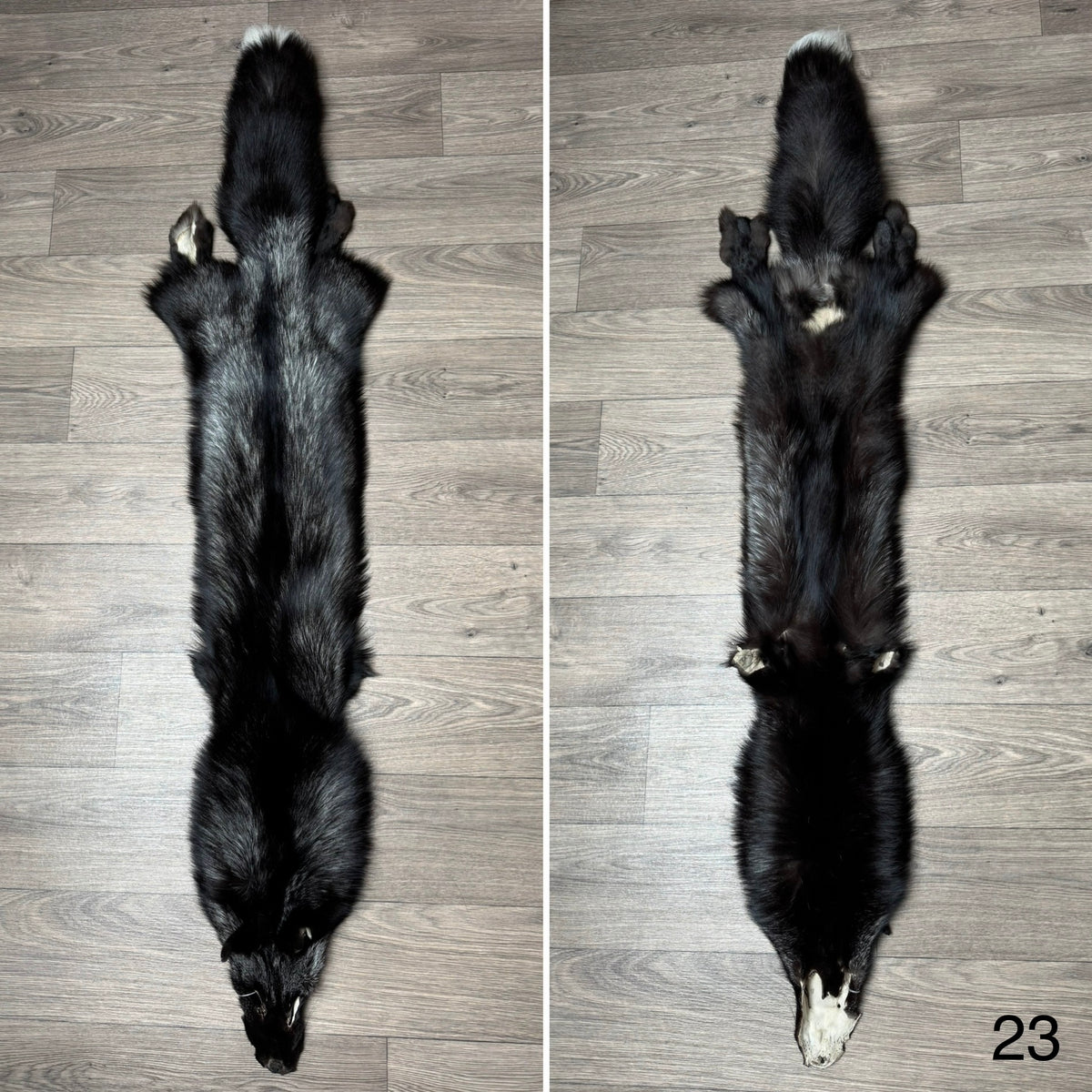 Silver fox pelt (23)