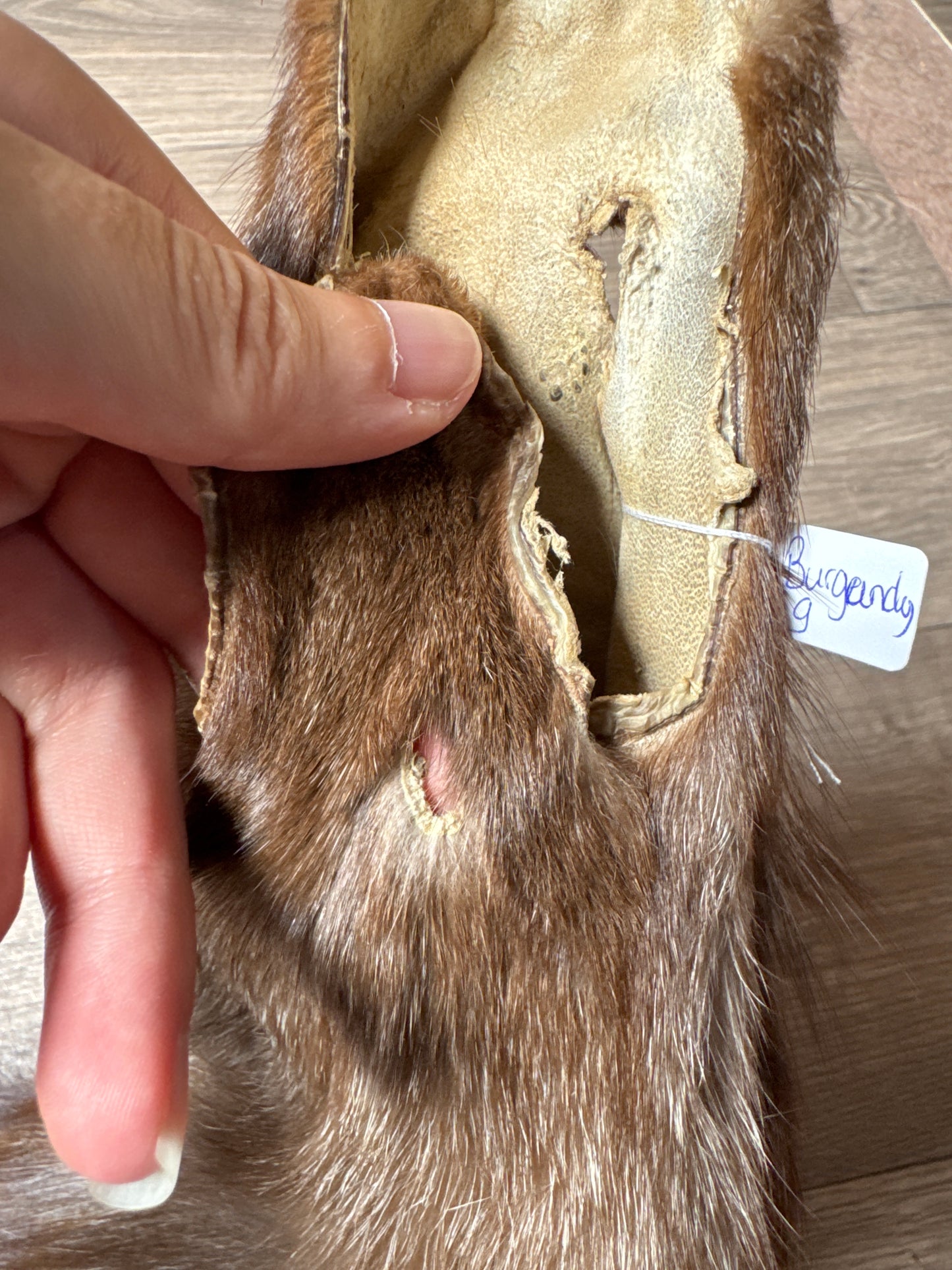 Burgundy fox pelt (9)