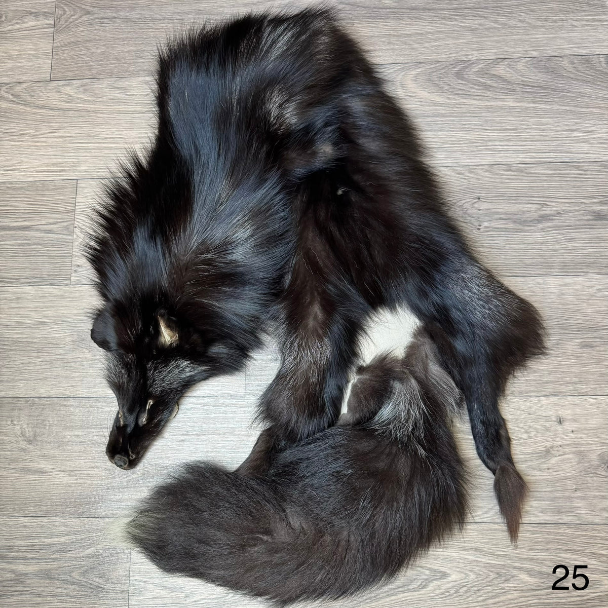 Silver fox pelt (25)