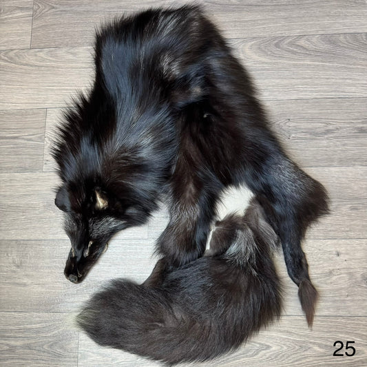 Silver fox pelt (25)
