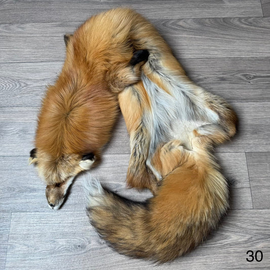 Gold fox pelt (30)
