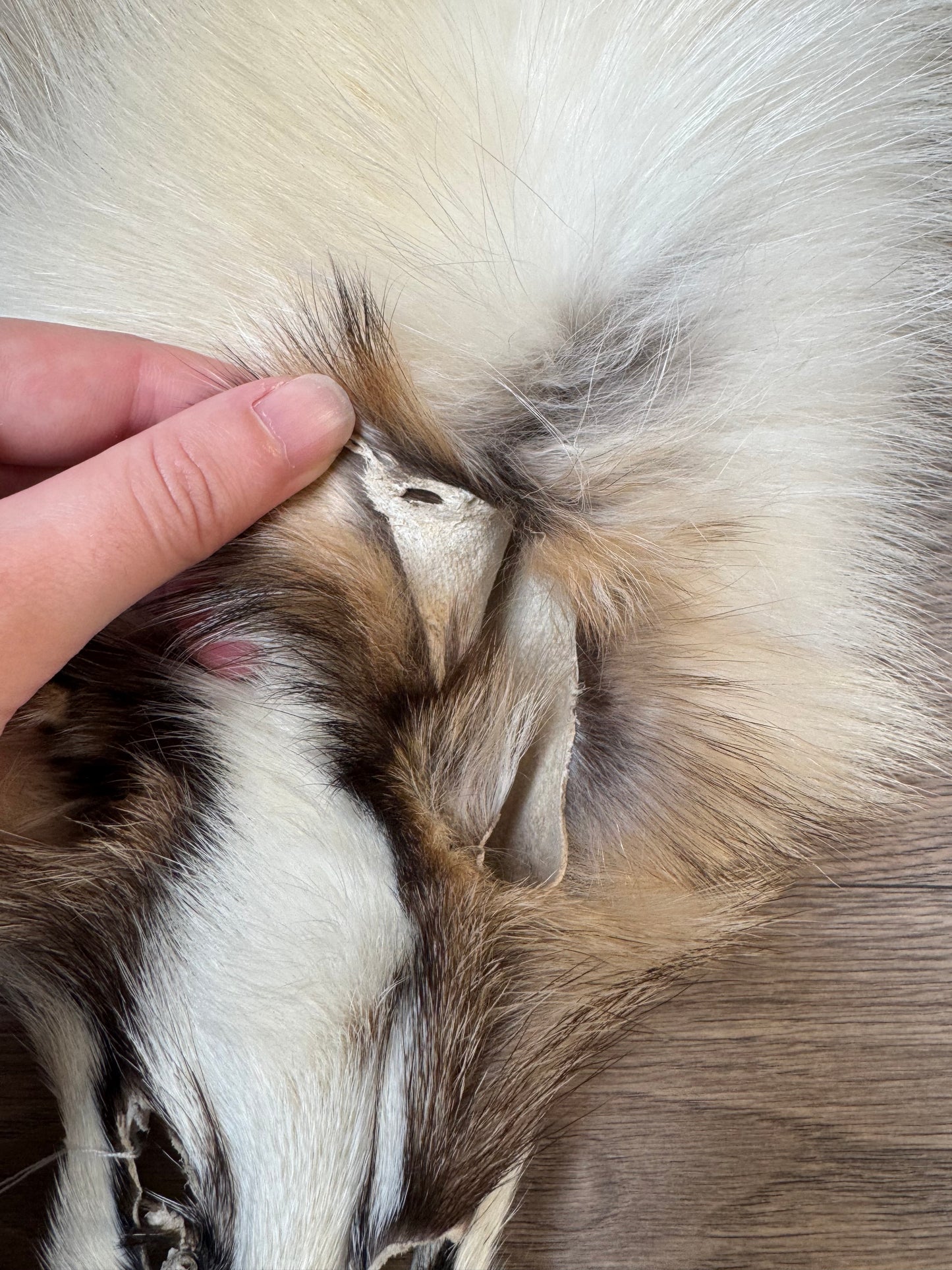 Marble tanuki pelt (8)