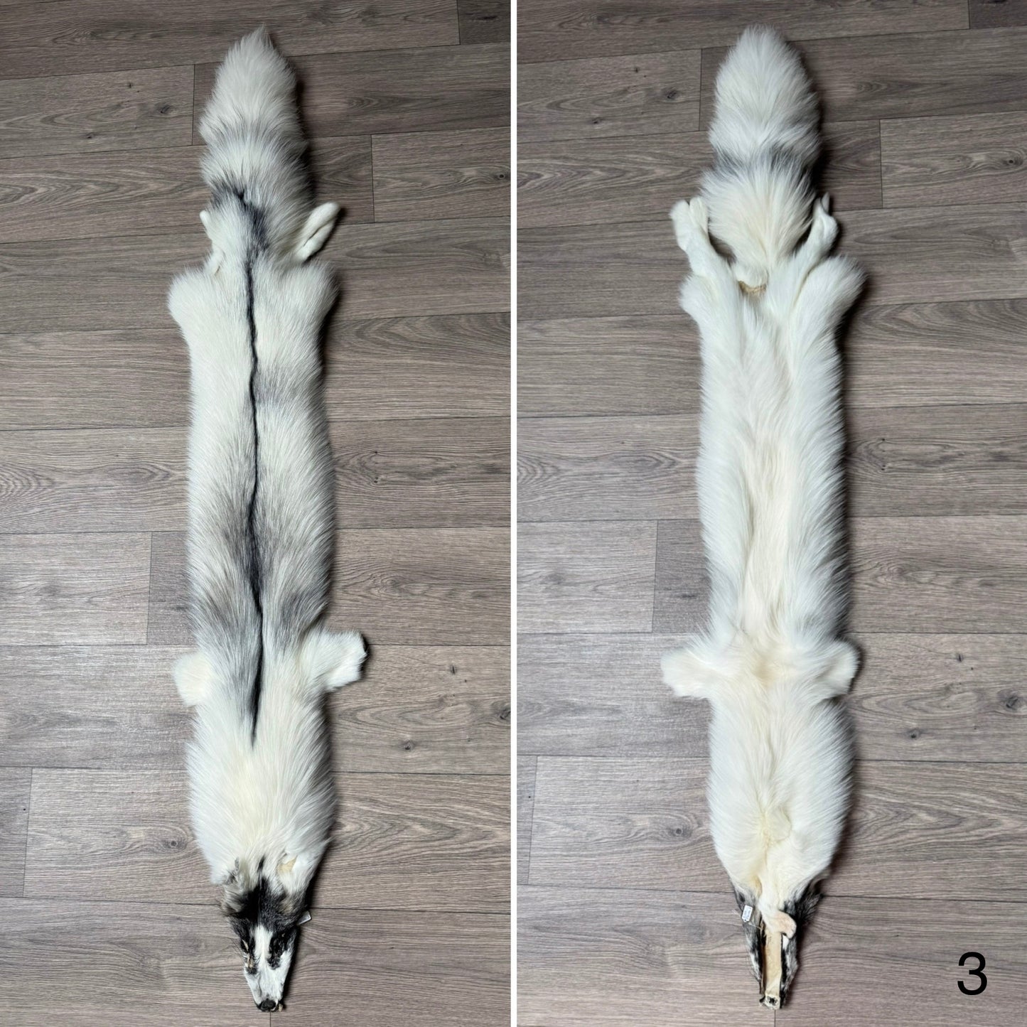 Cross Marble fox pelt (3)